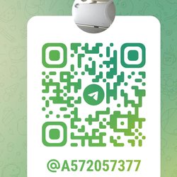 qq572057377's Avatar